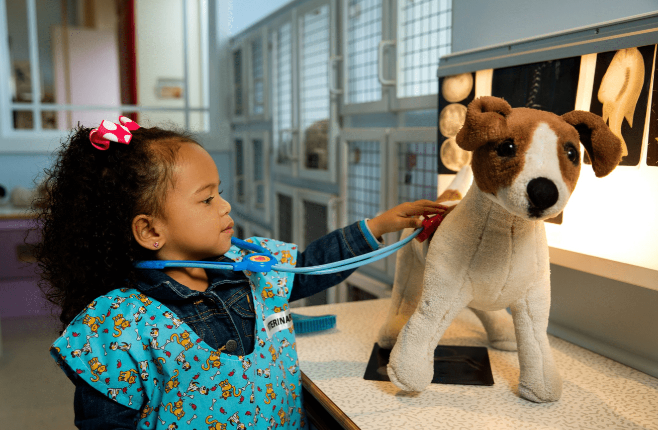 DPKH Pet Vet Hero.c1378x900